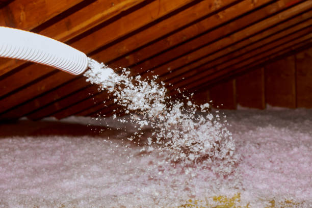 Best Insulation Removal  in Boronda, CA