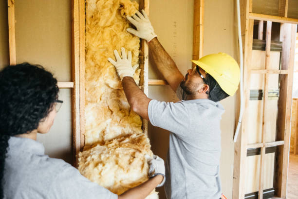 Best Cellulose Insulation  in Boronda, CA